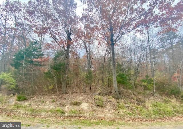 PAGE VALLEY ROAD, LURAY, Virginia 22835, ,Land,For sale,PAGE VALLEY ROAD,VAPA2000458 MLS # VAPA2000458