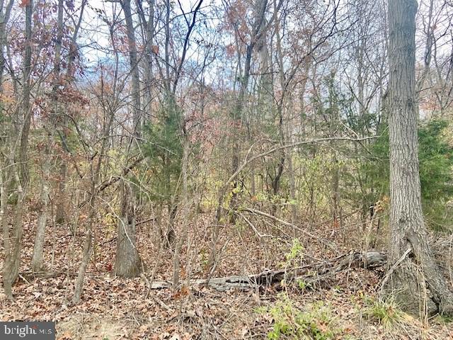 PAGE VALLEY ROAD, LURAY, Virginia 22835, ,Land,For sale,PAGE VALLEY ROAD,VAPA2000458 MLS # VAPA2000458