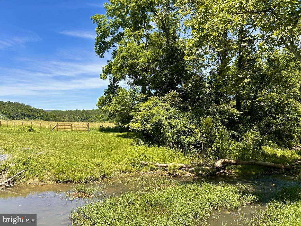 0 SEVEN FOUNTAINS RD, FORT VALLEY, Virginia 22652, ,Land,For sale,0 SEVEN FOUNTAINS RD,VASH2008818 MLS # VASH2008818