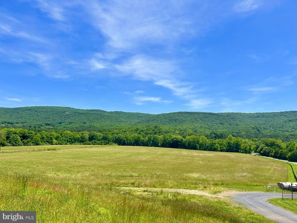 0 SEVEN FOUNTAINS RD, FORT VALLEY, Virginia 22652, ,Land,For sale,0 SEVEN FOUNTAINS RD,VASH2008818 MLS # VASH2008818