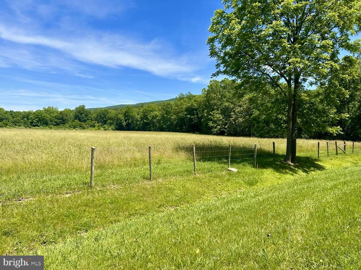 0 SEVEN FOUNTAINS RD, FORT VALLEY, Virginia 22652, ,Land,For sale,0 SEVEN FOUNTAINS RD,VASH2008818 MLS # VASH2008818