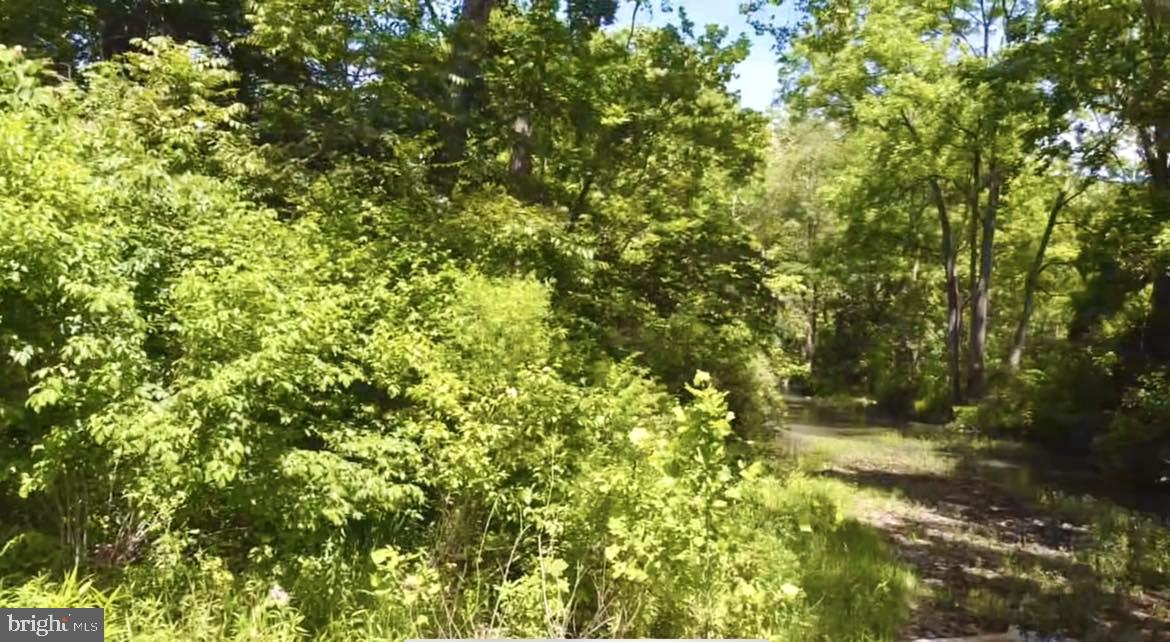 0 SEVEN FOUNTAINS RD, FORT VALLEY, Virginia 22652, ,Land,For sale,0 SEVEN FOUNTAINS RD,VASH2008818 MLS # VASH2008818