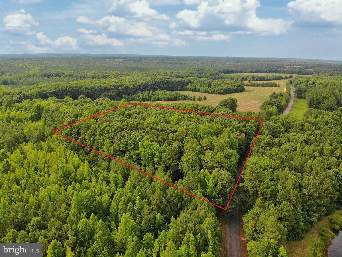 CLEATON RD, BRACEY, Virginia 23919, ,Land,For sale,CLEATON RD,VAMB2000036 MLS # VAMB2000036