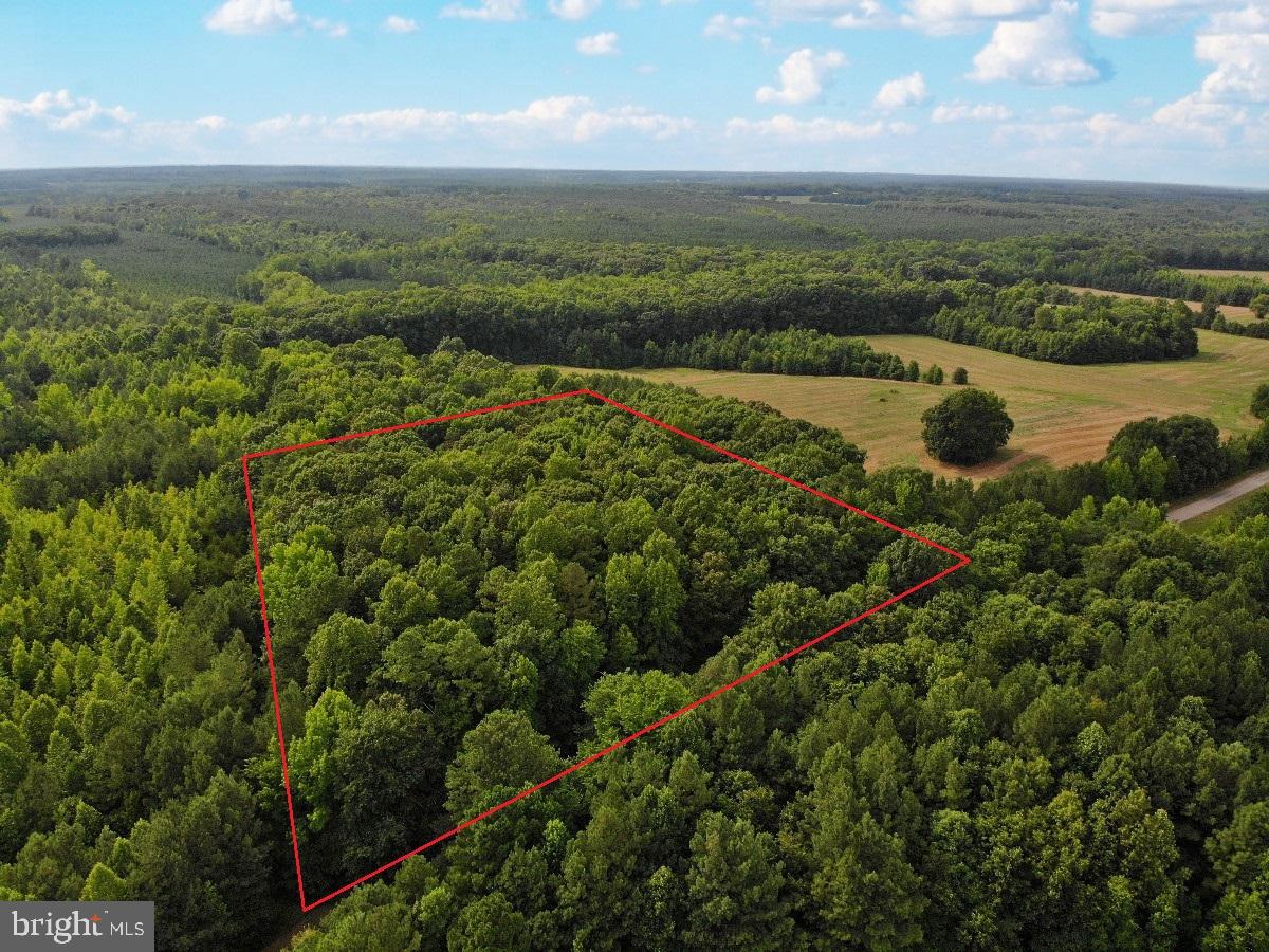 CLEATON RD, BRACEY, Virginia 23919, ,Land,For sale,CLEATON RD,VAMB2000036 MLS # VAMB2000036