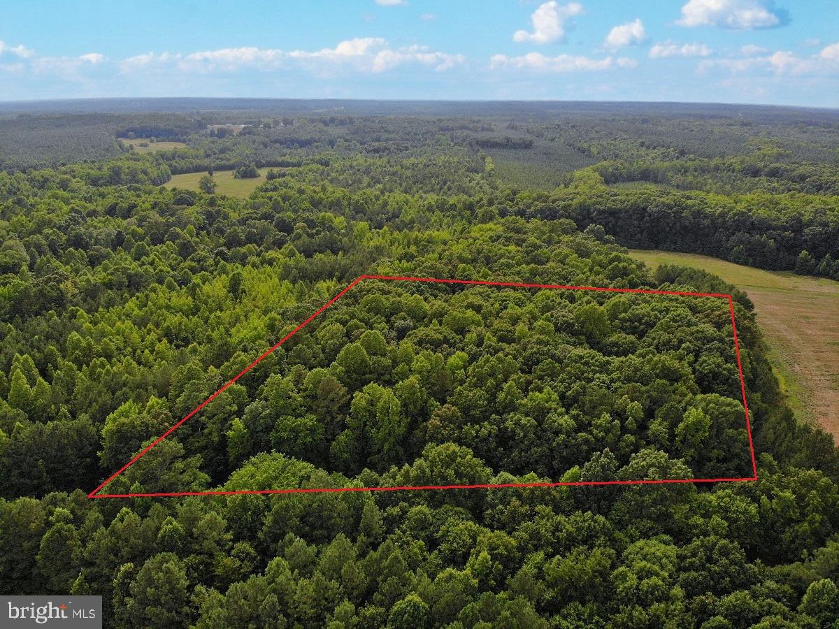 CLEATON RD, BRACEY, Virginia 23919, ,Land,For sale,CLEATON RD,VAMB2000036 MLS # VAMB2000036