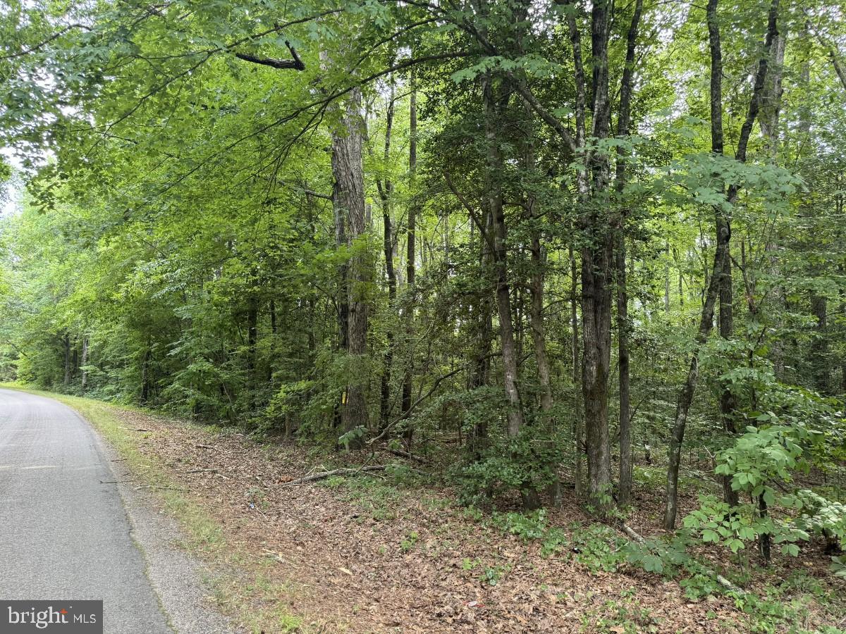 CLEATON RD, BRACEY, Virginia 23919, ,Land,For sale,CLEATON RD,VAMB2000036 MLS # VAMB2000036