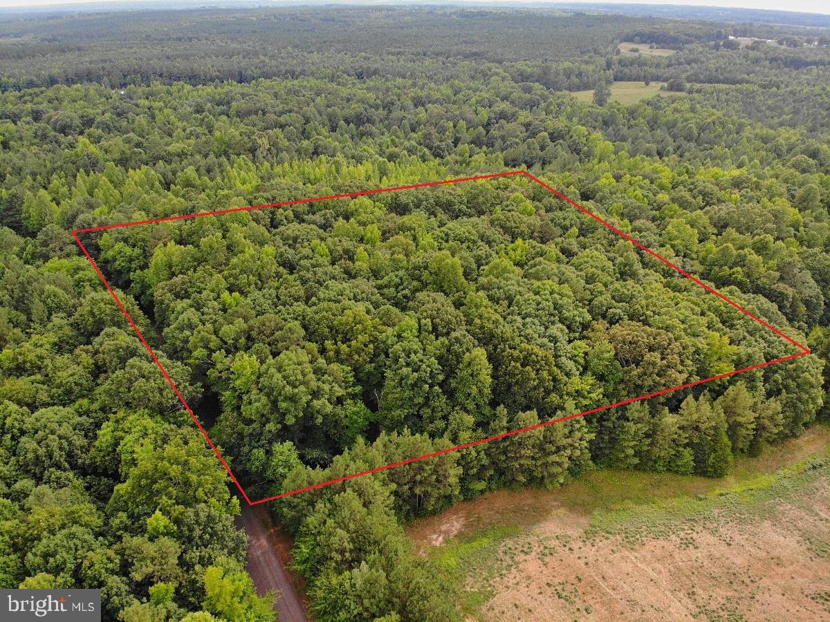 CLEATON RD, BRACEY, Virginia 23919, ,Land,For sale,CLEATON RD,VAMB2000036 MLS # VAMB2000036