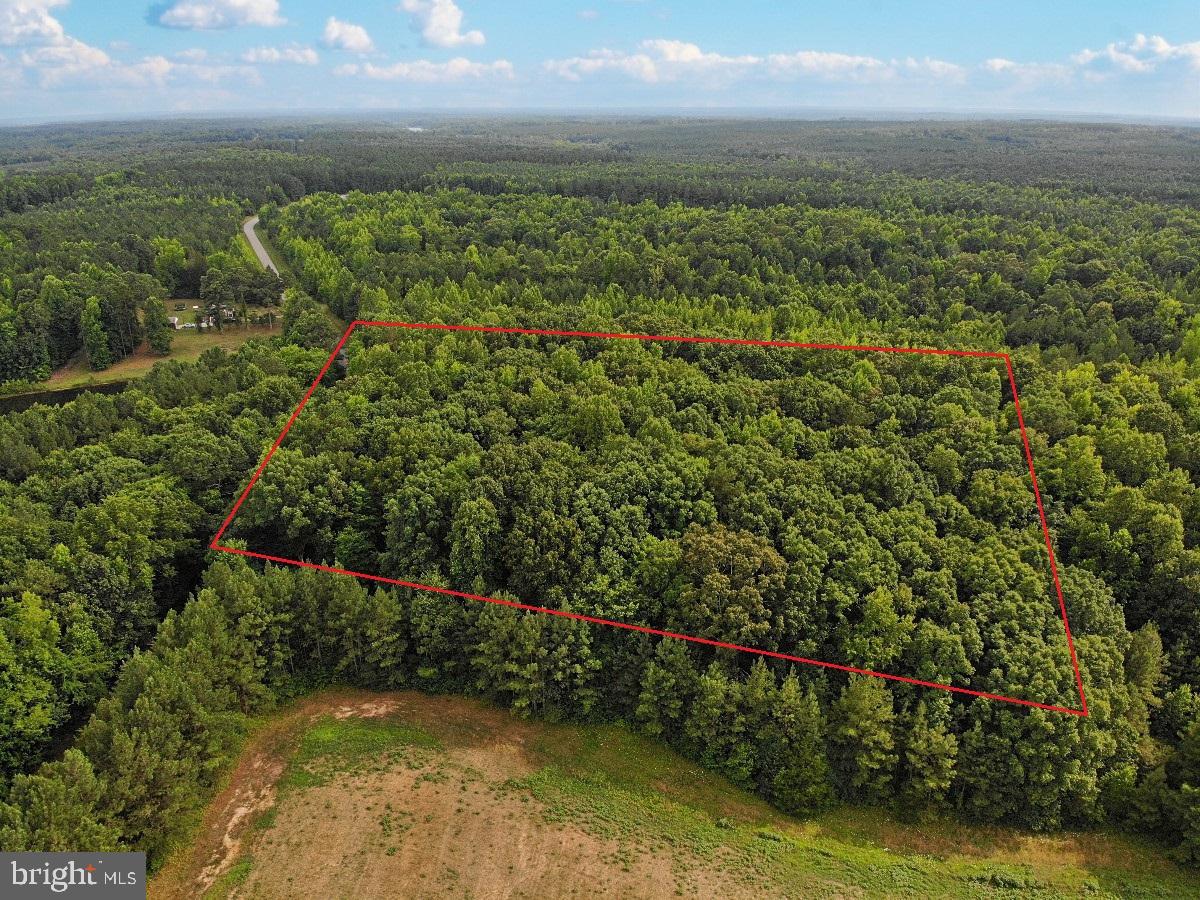 CLEATON RD, BRACEY, Virginia 23919, ,Land,For sale,CLEATON RD,VAMB2000036 MLS # VAMB2000036