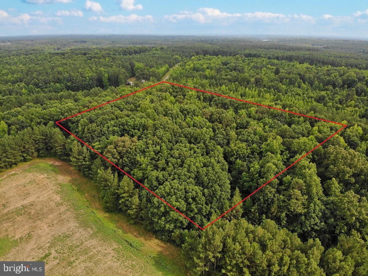 CLEATON RD, BRACEY, Virginia 23919, ,Land,For sale,CLEATON RD,VAMB2000036 MLS # VAMB2000036