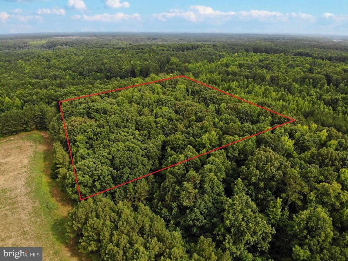 CLEATON RD, BRACEY, Virginia 23919, ,Land,For sale,CLEATON RD,VAMB2000036 MLS # VAMB2000036