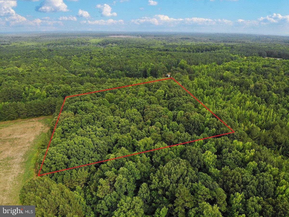 CLEATON RD, BRACEY, Virginia 23919, ,Land,For sale,CLEATON RD,VAMB2000036 MLS # VAMB2000036