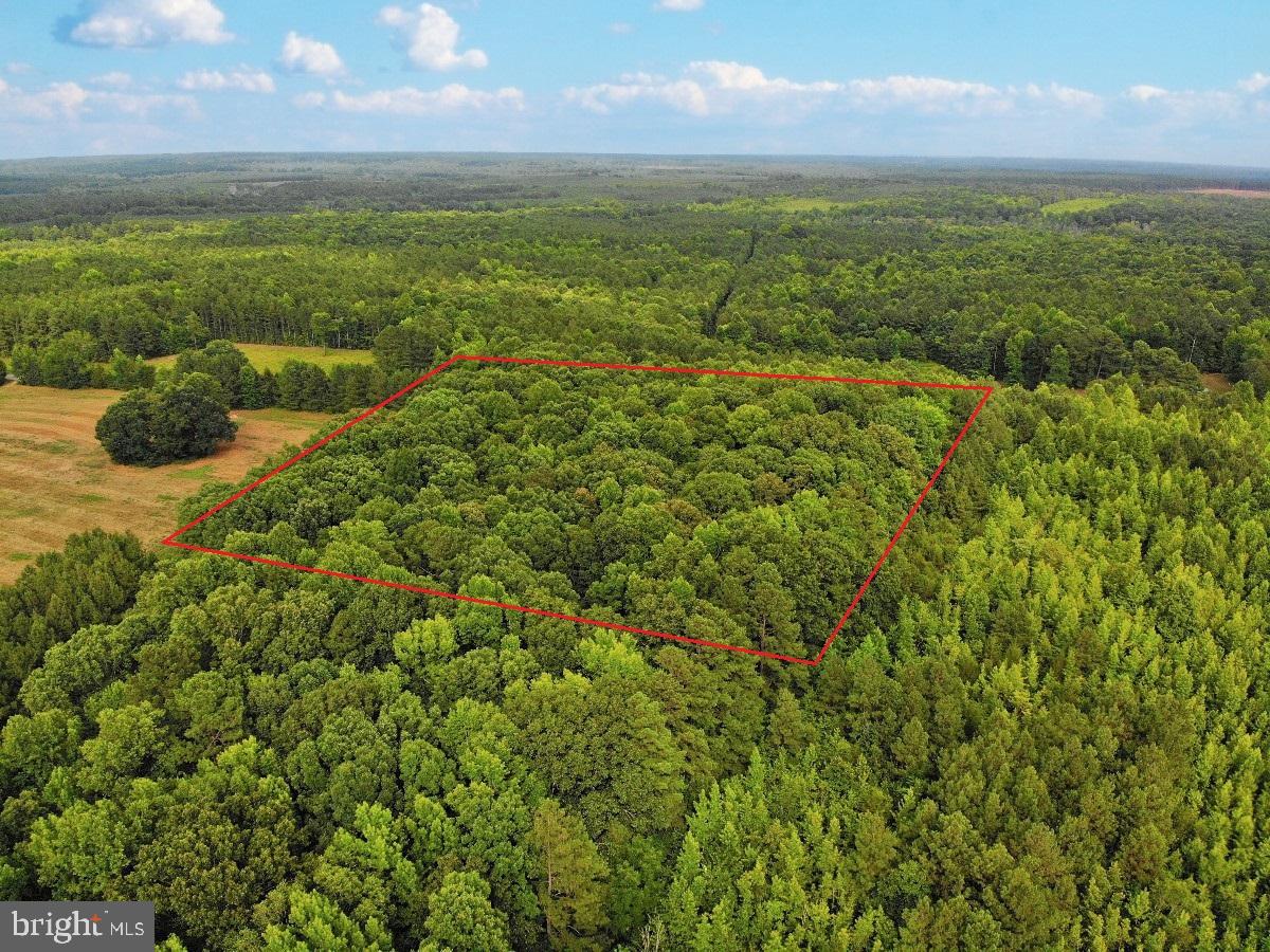 CLEATON RD, BRACEY, Virginia 23919, ,Land,For sale,CLEATON RD,VAMB2000036 MLS # VAMB2000036