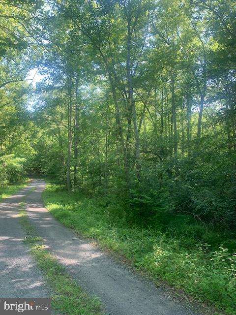 HANEY DR, BARBOURSVILLE, Virginia 22923, ,Land,For sale,HANEY DR,VAOR2007378 MLS # VAOR2007378