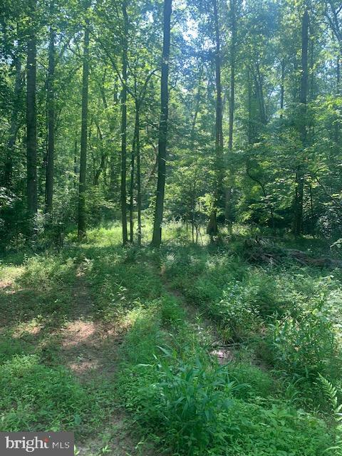 HANEY DR, BARBOURSVILLE, Virginia 22923, ,Land,For sale,HANEY DR,VAOR2007378 MLS # VAOR2007378