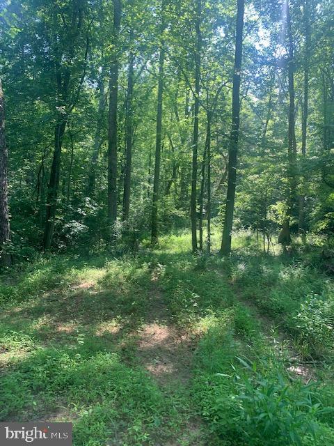 HANEY DR, BARBOURSVILLE, Virginia 22923, ,Land,For sale,HANEY DR,VAOR2007378 MLS # VAOR2007378