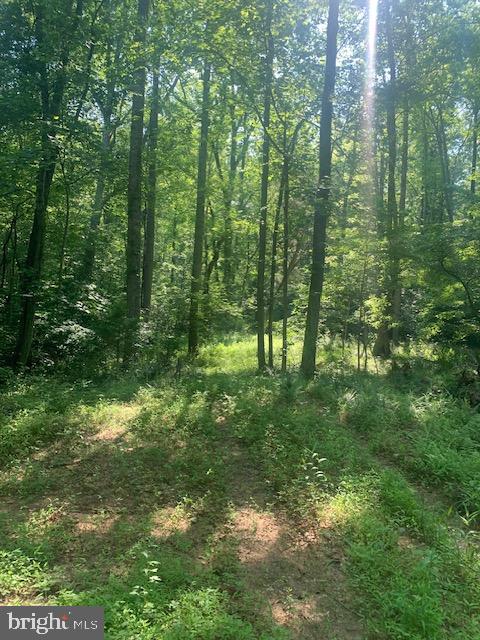 HANEY DR, BARBOURSVILLE, Virginia 22923, ,Land,For sale,HANEY DR,VAOR2007378 MLS # VAOR2007378