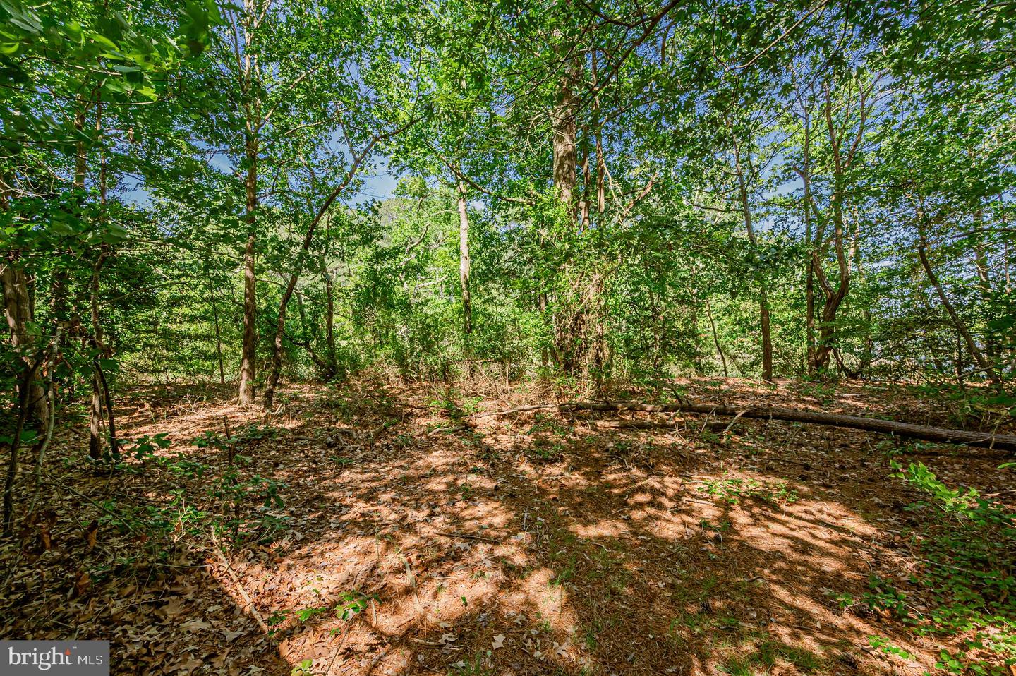 1852 OCRAN RD, WHITE STONE, Virginia 22578, ,Land,For sale,1852 OCRAN RD,VALV2000544 MLS # VALV2000544