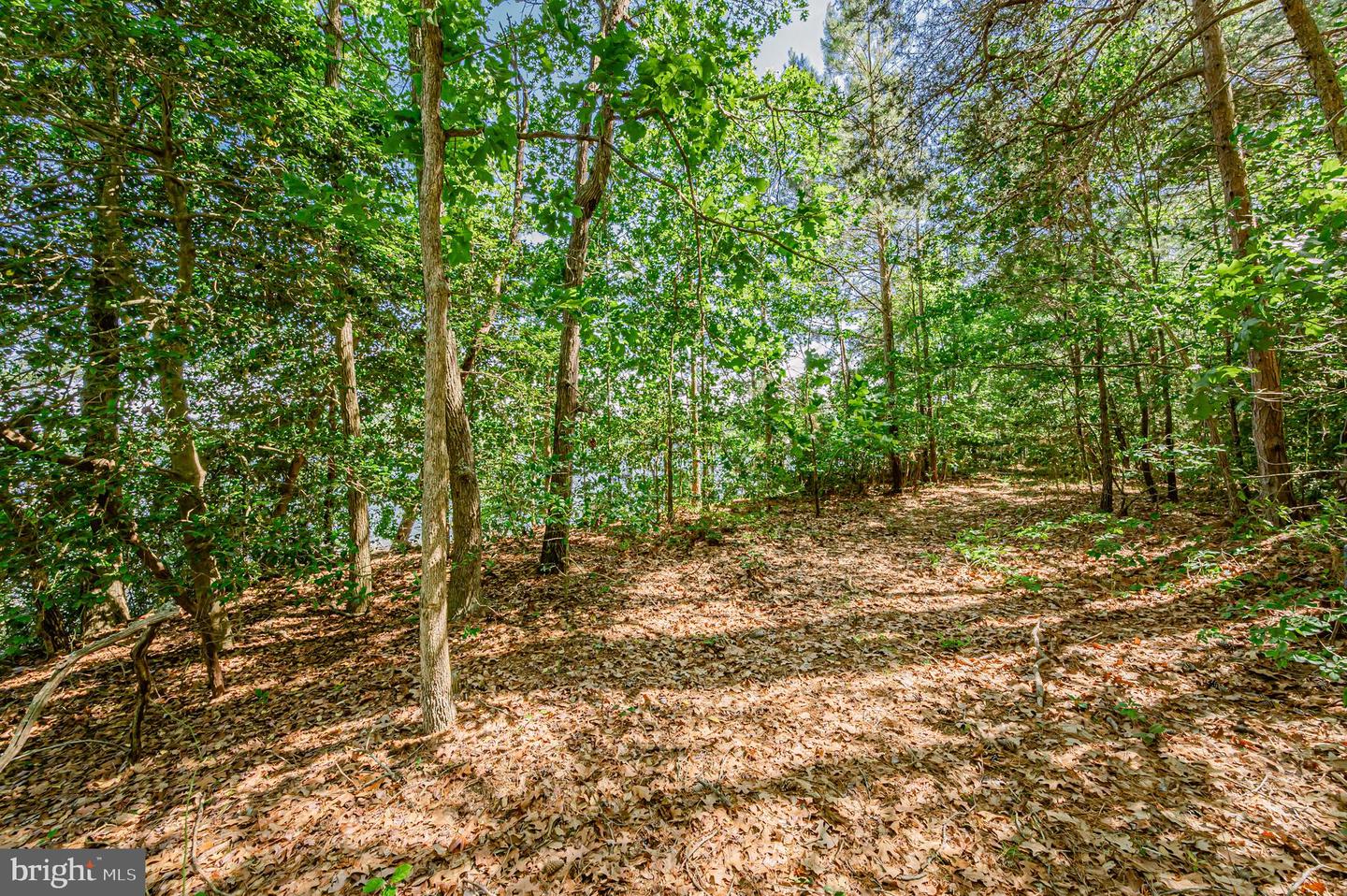 1852 OCRAN RD, WHITE STONE, Virginia 22578, ,Land,For sale,1852 OCRAN RD,VALV2000544 MLS # VALV2000544