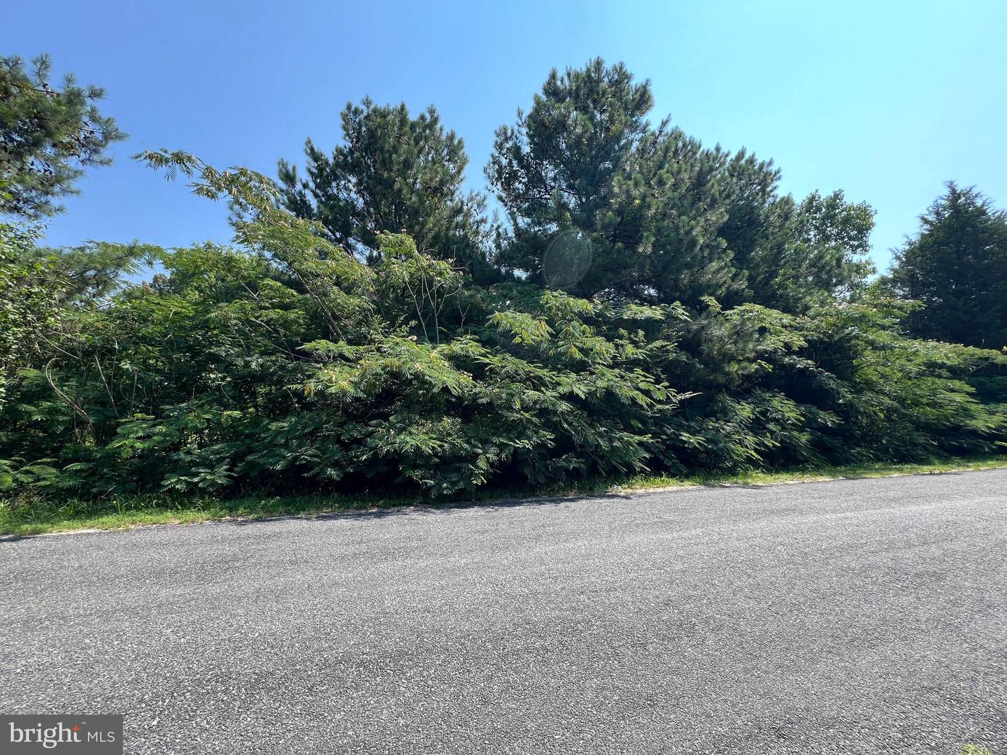 THE HOOK RD, WARSAW, Virginia 22572, ,Land,For sale,THE HOOK RD,VARV2000372 MLS # VARV2000372