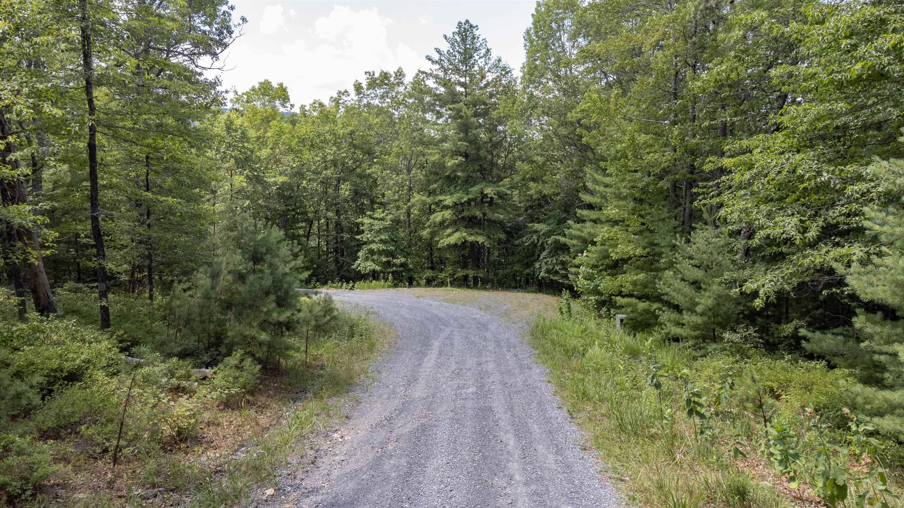 TBD BIRDS NEST RD, HINTON, Virginia 22831, ,Land,TBD BIRDS NEST RD,655150 MLS # 655150