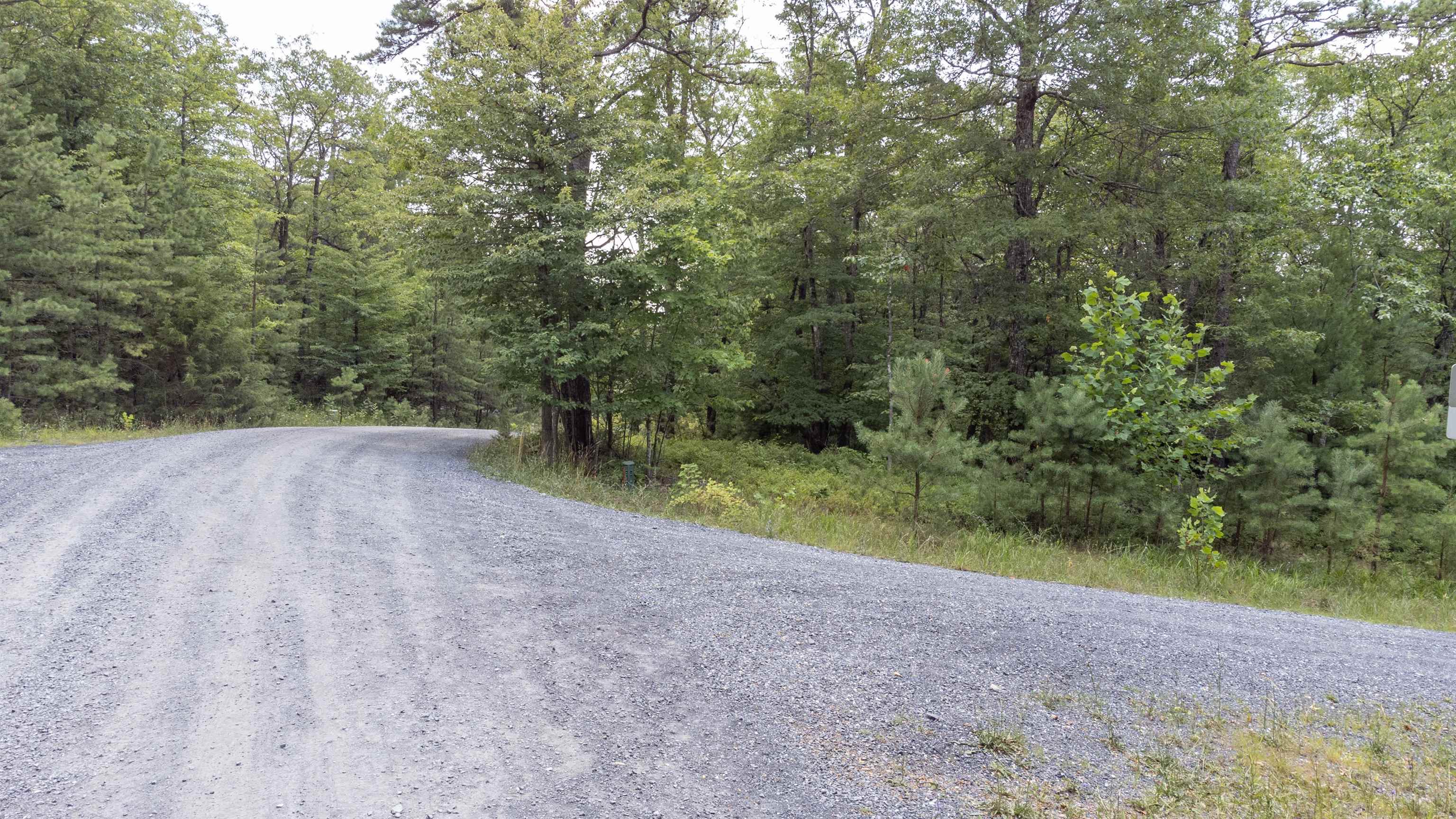 TBD BIRDS NEST RD, HINTON, Virginia 22831, ,Land,TBD BIRDS NEST RD,655150 MLS # 655150