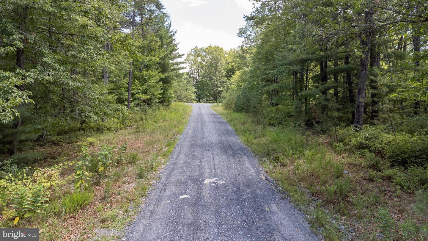 TBD BIRDS NEST RD, LOT 51, HINTON, Virginia 22831, ,Land,For sale,TBD BIRDS NEST RD, LOT 51,VARO2001638 MLS # VARO2001638