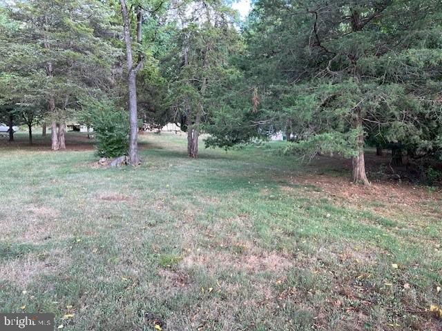 154 HELMS RD, STANLEY, Virginia 22851, ,Land,For sale,154 HELMS RD,VAPA2003822 MLS # VAPA2003822