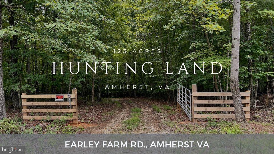 EARLEY FARM RD, AMHERST, Virginia 24521, ,Farm,For sale,EARLEY FARM RD,VAAH2000040 MLS # VAAH2000040