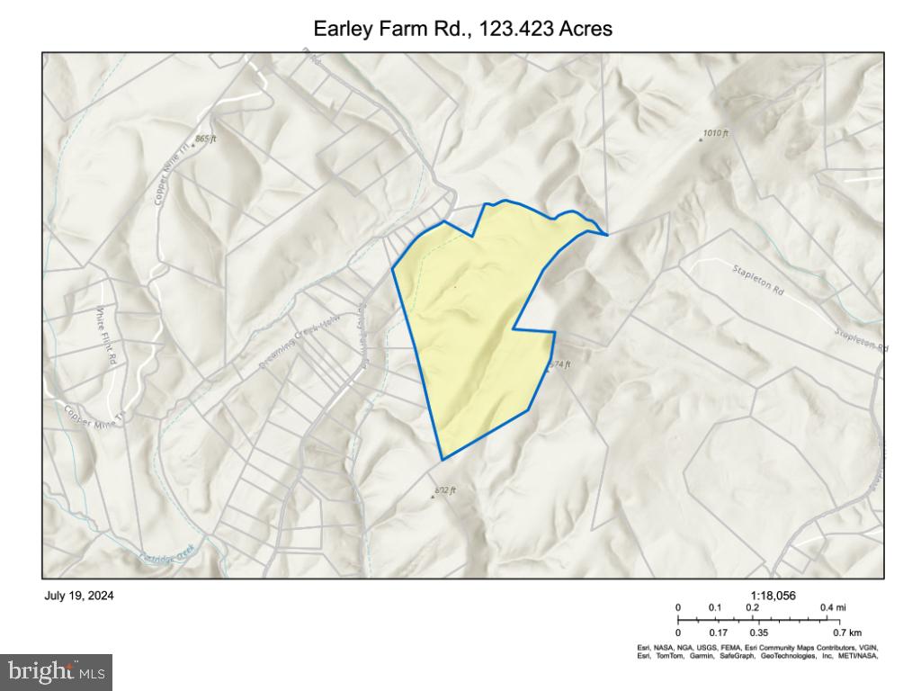 EARLEY FARM RD, AMHERST, Virginia 24521, ,Farm,For sale,EARLEY FARM RD,VAAH2000040 MLS # VAAH2000040