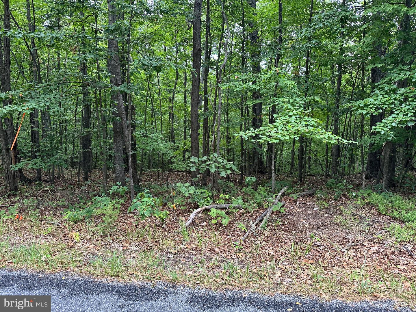 LOT 59A HILLANDALE RD, FRONT ROYAL, Virginia 22630, 4 Bedrooms Bedrooms, ,3 BathroomsBathrooms,Residential,For sale,LOT 59A HILLANDALE RD,VAWR2008594 MLS # VAWR2008594