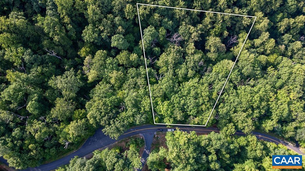 1674 CRAWFORDS CLIMB, NELLYSFORD, Virginia 22958, ,Land,For sale,1674 CRAWFORDS CLIMB,655190 MLS # 655190