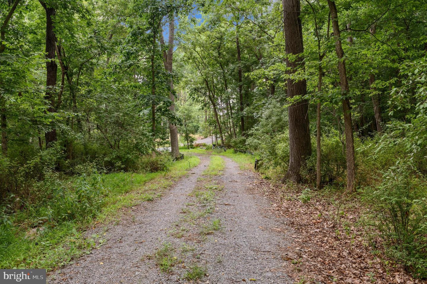 ROCK HALL - LOT 4, BERRYVILLE, Virginia 22611, ,Land,For sale,ROCK HALL - LOT 4,VACL2002878 MLS # VACL2002878