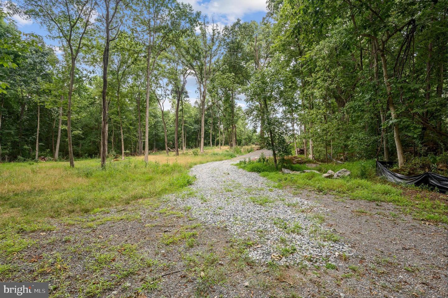 ROCK HALL - LOT 4, BERRYVILLE, Virginia 22611, ,Land,For sale,ROCK HALL - LOT 4,VACL2002878 MLS # VACL2002878