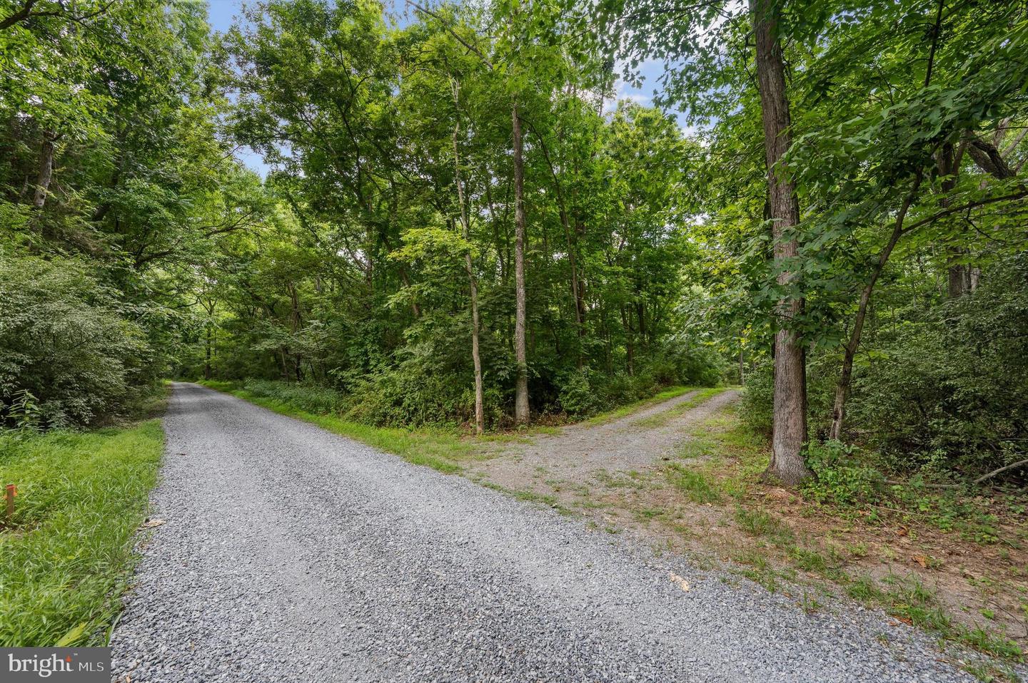 ROCK HALL - LOT 4, BERRYVILLE, Virginia 22611, ,Land,For sale,ROCK HALL - LOT 4,VACL2002878 MLS # VACL2002878