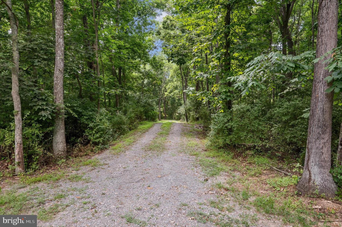 ROCK HALL - LOT 4, BERRYVILLE, Virginia 22611, ,Land,For sale,ROCK HALL - LOT 4,VACL2002878 MLS # VACL2002878