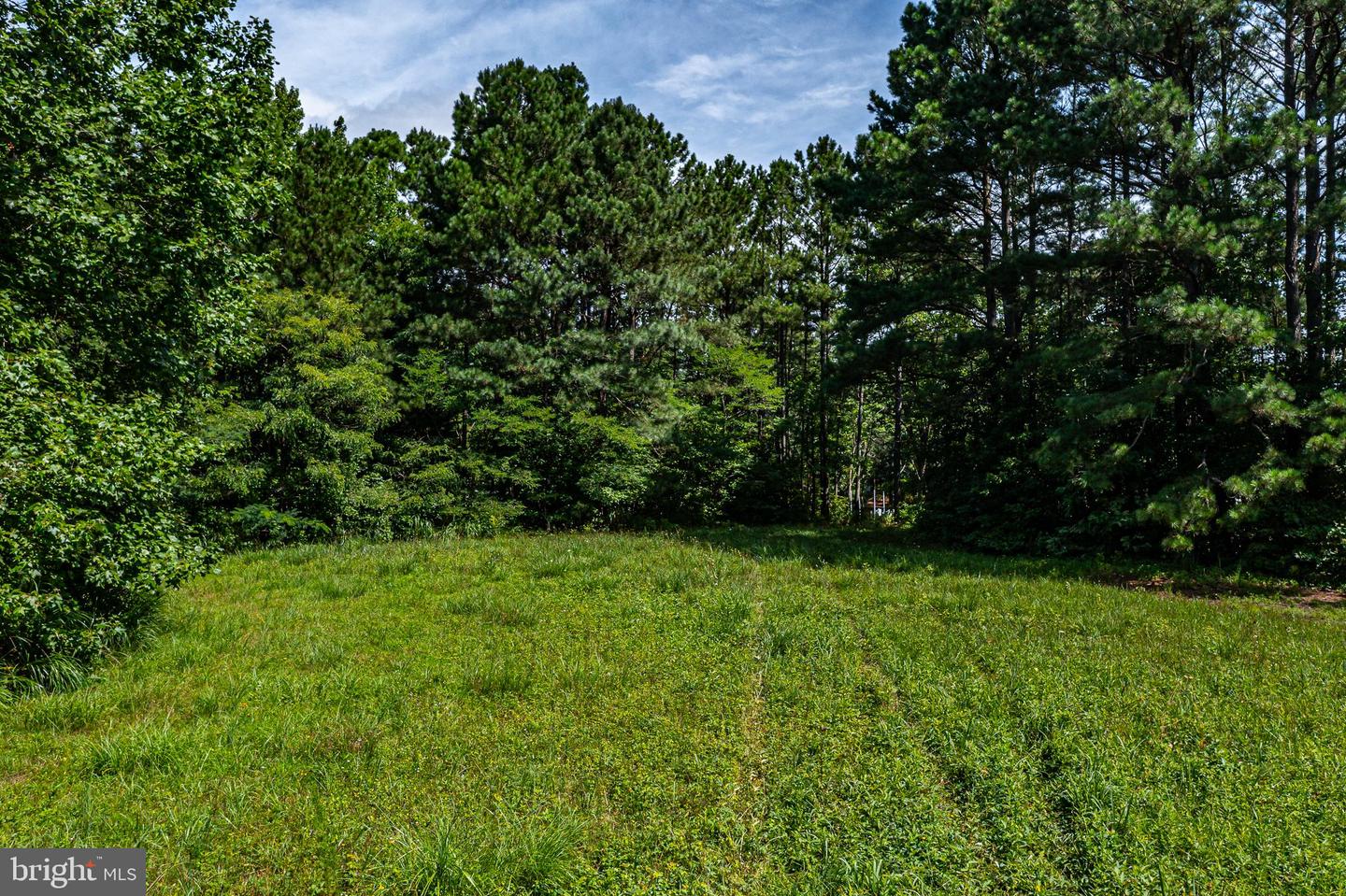 000 OLD FAIRPORT ROAD, REEDVILLE, Virginia 22539, ,Land,For sale,000 OLD FAIRPORT ROAD,VANV2001222 MLS # VANV2001222