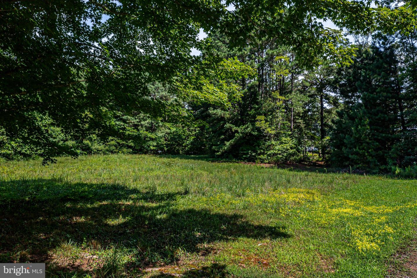 000 OLD FAIRPORT ROAD, REEDVILLE, Virginia 22539, ,Land,For sale,000 OLD FAIRPORT ROAD,VANV2001222 MLS # VANV2001222