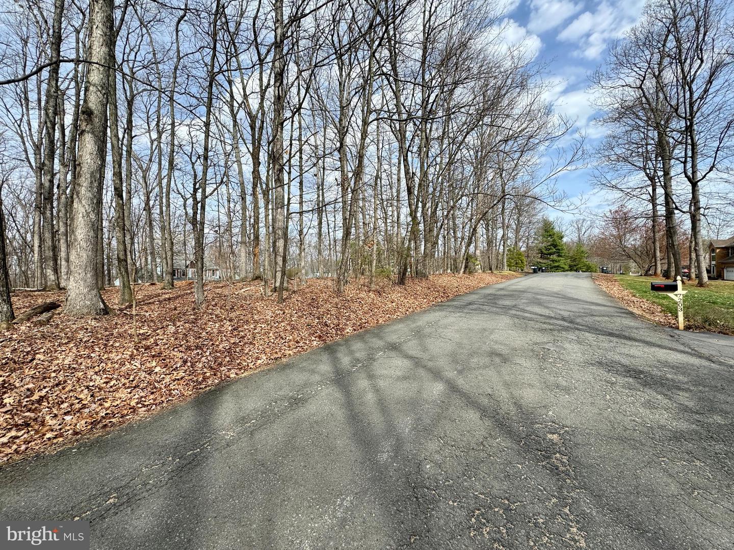 BALDWIN RIDGE RD, NEW BALTIMORE, Virginia 20187, ,Land,For sale,BALDWIN RIDGE RD,VAFQ2011920 MLS # VAFQ2011920