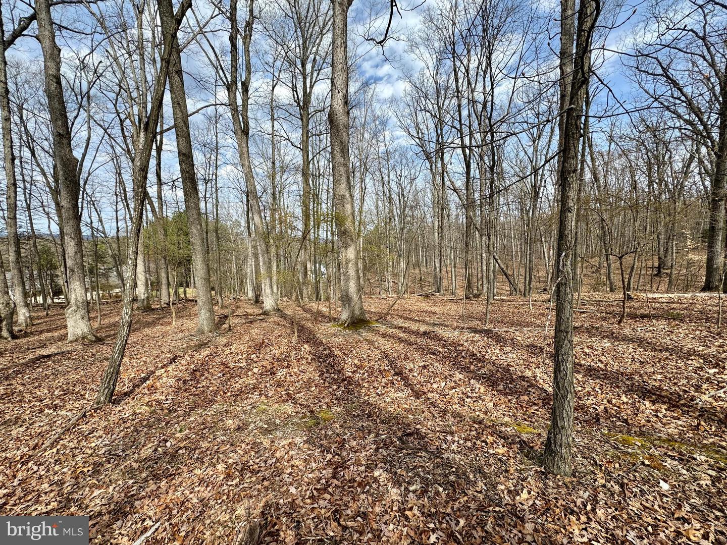 BALDWIN RIDGE RD, NEW BALTIMORE, Virginia 20187, ,Land,For sale,BALDWIN RIDGE RD,VAFQ2011920 MLS # VAFQ2011920