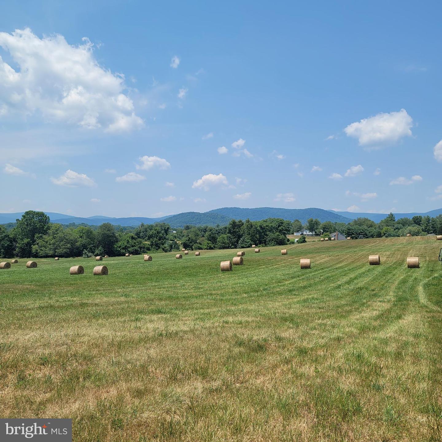 TIGER VALLEY RD, WASHINGTON, Virginia 22747, ,Land,For sale,TIGER VALLEY RD,VARP2001644 MLS # VARP2001644