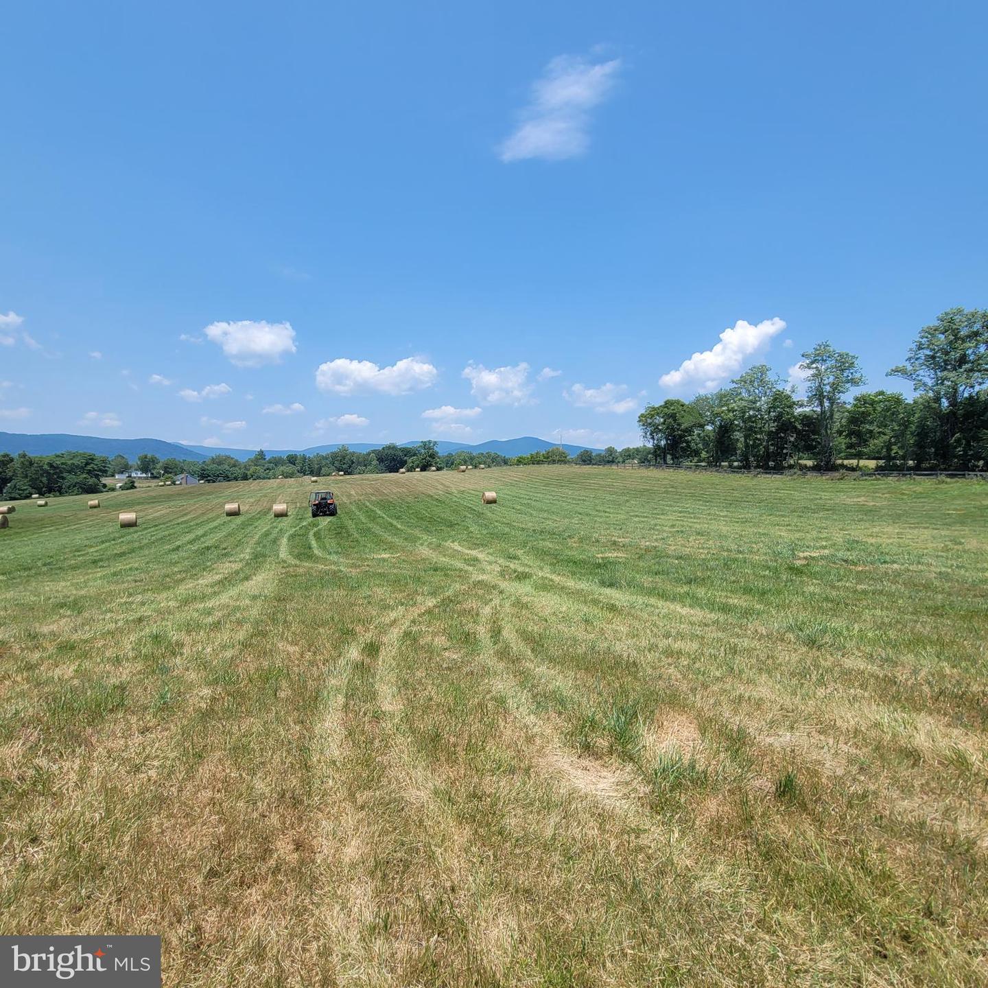 TIGER VALLEY RD, WASHINGTON, Virginia 22747, ,Land,For sale,TIGER VALLEY RD,VARP2001644 MLS # VARP2001644