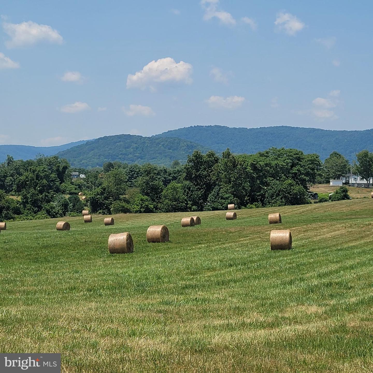 TIGER VALLEY RD, WASHINGTON, Virginia 22747, ,Land,For sale,TIGER VALLEY RD,VARP2001644 MLS # VARP2001644