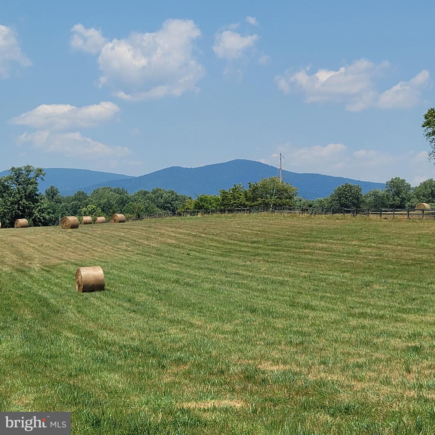 TIGER VALLEY RD, WASHINGTON, Virginia 22747, ,Land,For sale,TIGER VALLEY RD,VARP2001644 MLS # VARP2001644