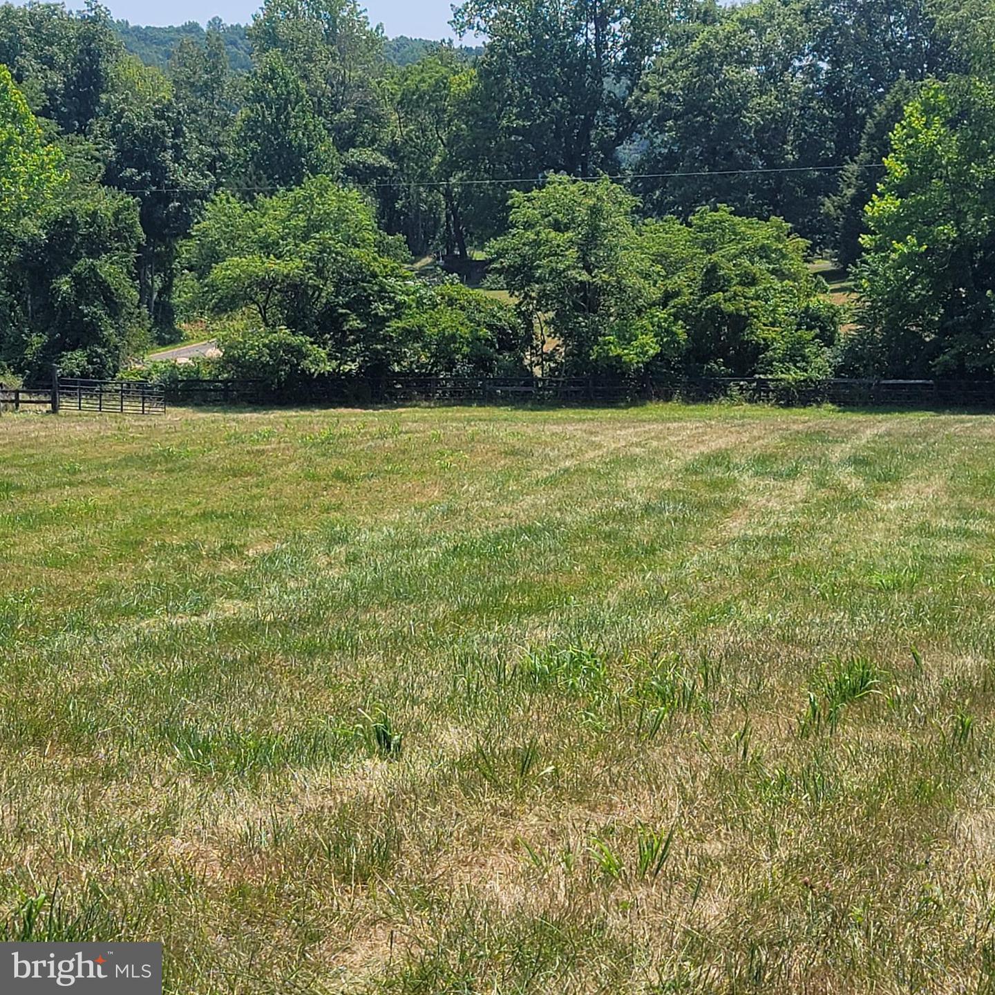 TIGER VALLEY RD, WASHINGTON, Virginia 22747, ,Land,For sale,TIGER VALLEY RD,VARP2001644 MLS # VARP2001644