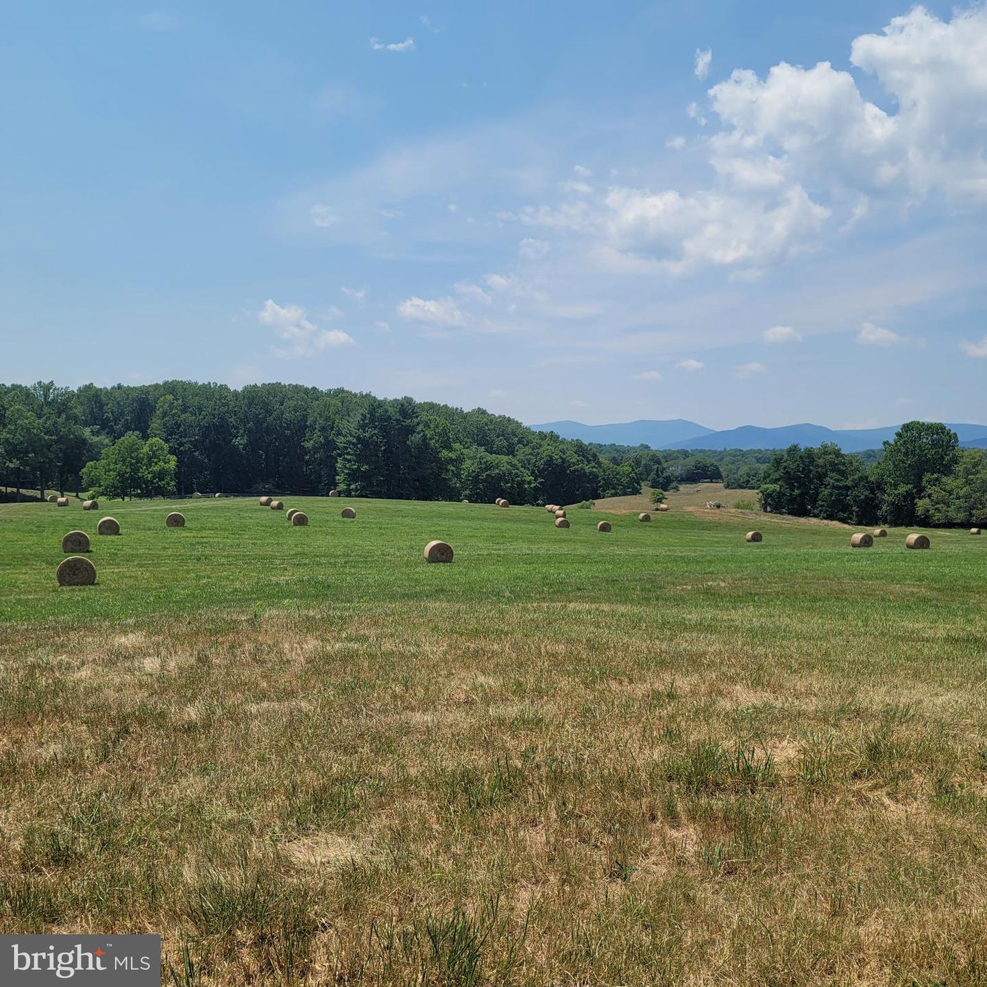 TIGER VALLEY RD, WASHINGTON, Virginia 22747, ,Land,For sale,TIGER VALLEY RD,VARP2001644 MLS # VARP2001644