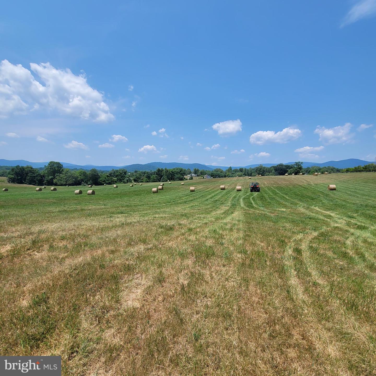 TIGER VALLEY RD, WASHINGTON, Virginia 22747, ,Land,For sale,TIGER VALLEY RD,VARP2001644 MLS # VARP2001644