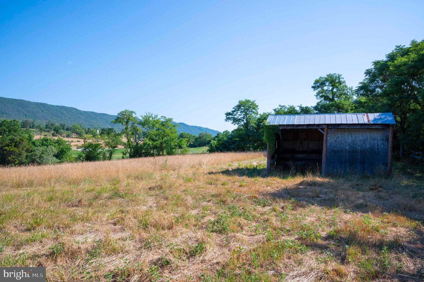 11774 BACK RD, TOMS BROOK, Virginia 22660, 4 Bedrooms Bedrooms, ,2 BathroomsBathrooms,Farm,For sale,11774 BACK RD,VASH2009184 MLS # VASH2009184