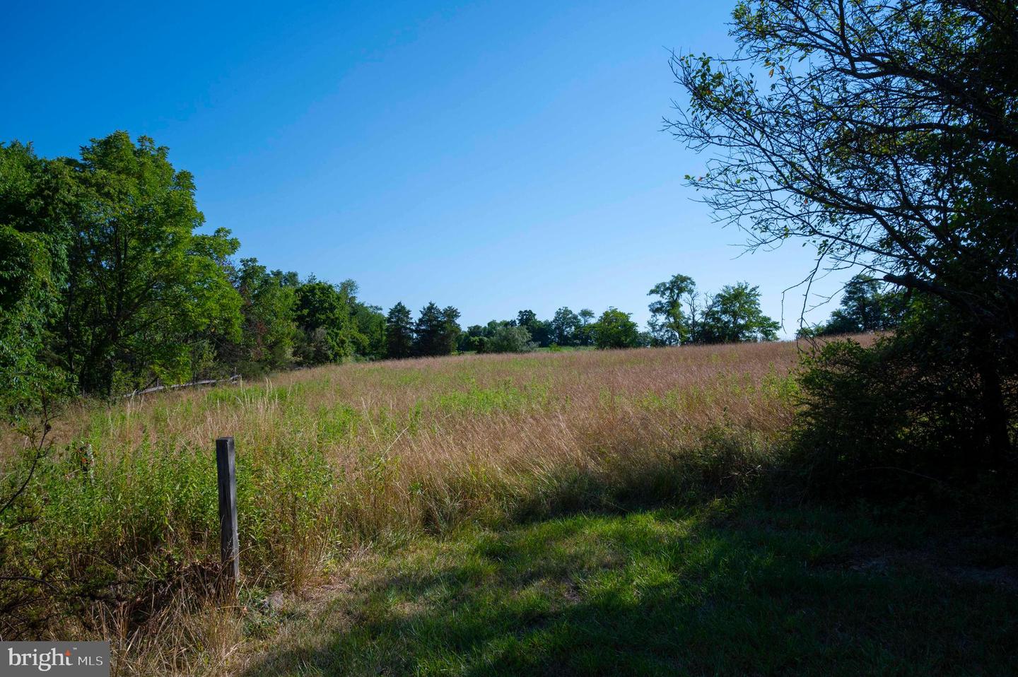 11774 BACK RD, TOMS BROOK, Virginia 22660, 4 Bedrooms Bedrooms, ,2 BathroomsBathrooms,Farm,For sale,11774 BACK RD,VASH2009184 MLS # VASH2009184