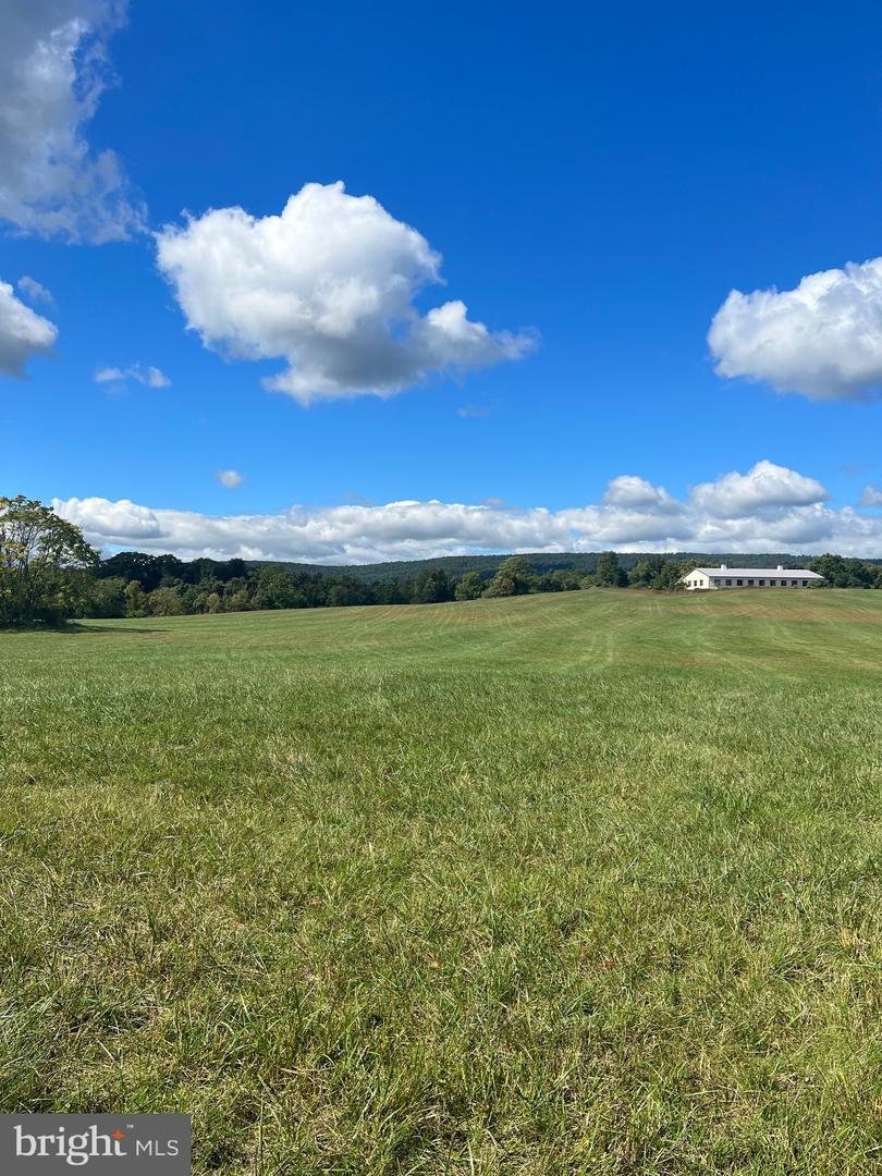 35810 BELL RD, ROUND HILL, Virginia 20141, ,Farm,For sale,35810 BELL RD,VALO2076490 MLS # VALO2076490
