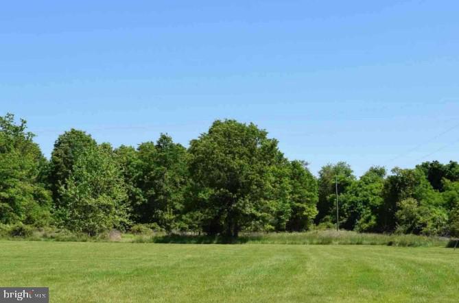 00 AUSTIN GROVE RD, BLUEMONT, Virginia 20135, ,Land,For sale,00 AUSTIN GROVE RD,VALO2076562 MLS # VALO2076562